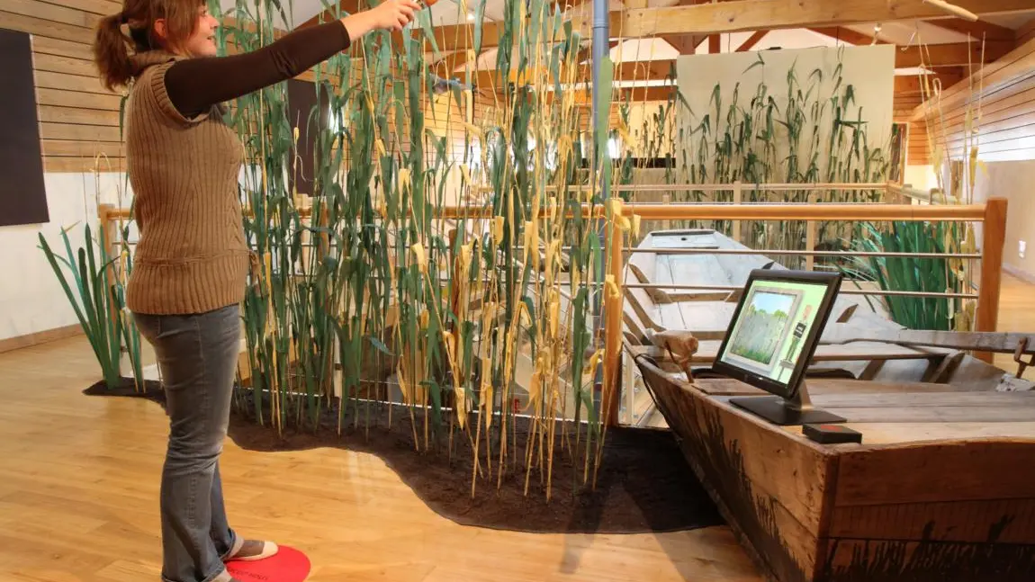 Un des pôles de la muséographie de la Maison des étangs