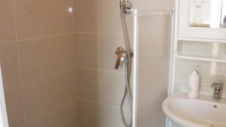 Salle de bains avec douche et WC