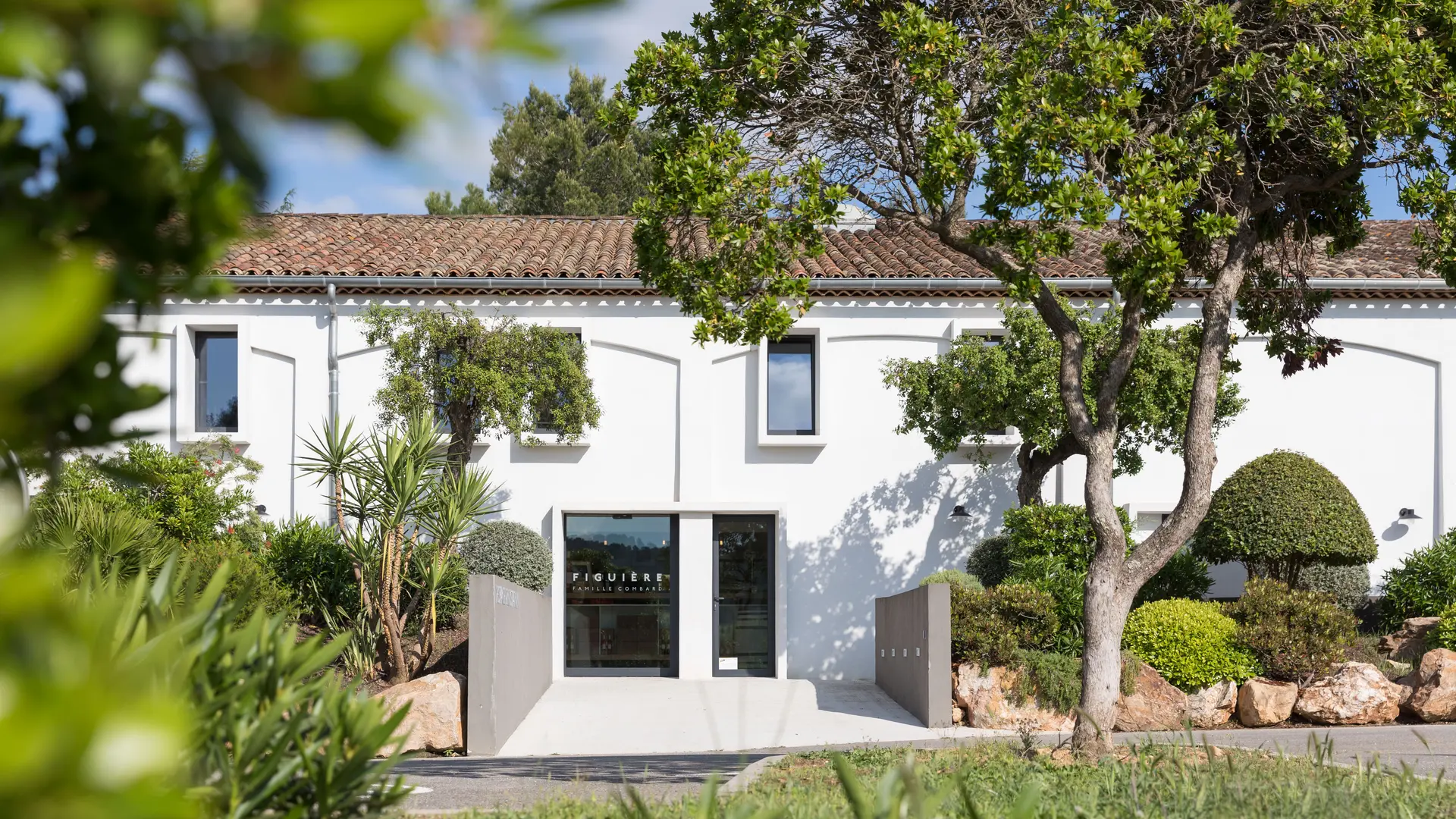 Découverte du domaine Figuière et dégustation guidée