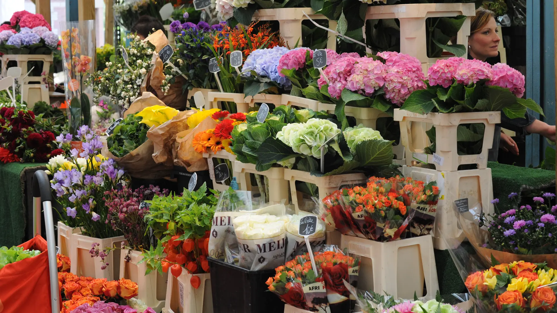 Fleuriste au marché de Maisons-Laffitte