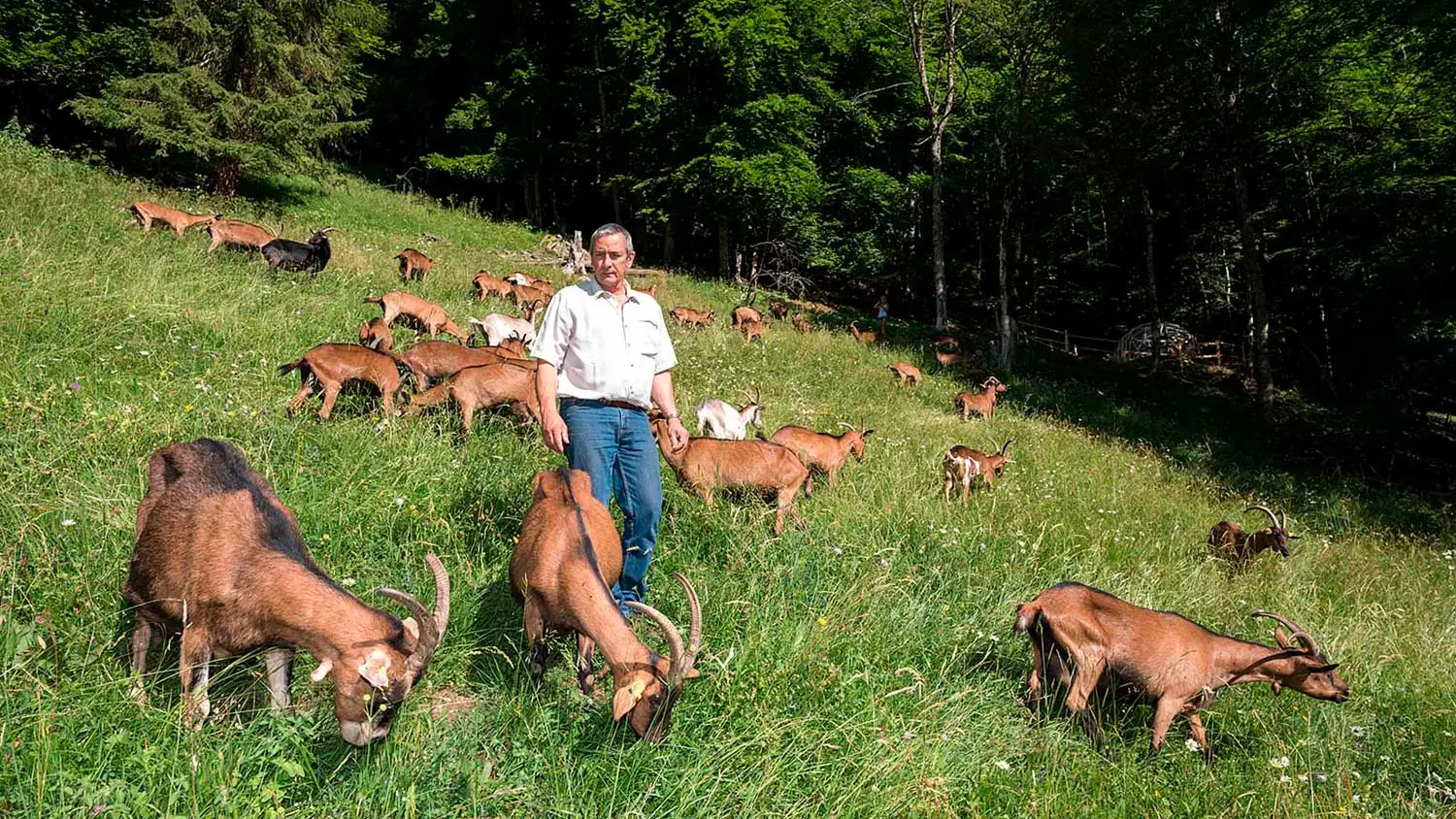 La Ferme du Petit Mont