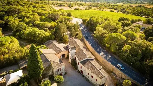 aerial view of the estate