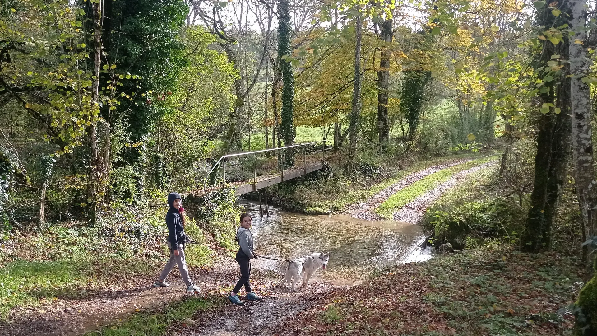 Balade tractée par les chiens avec Lisa Plaza