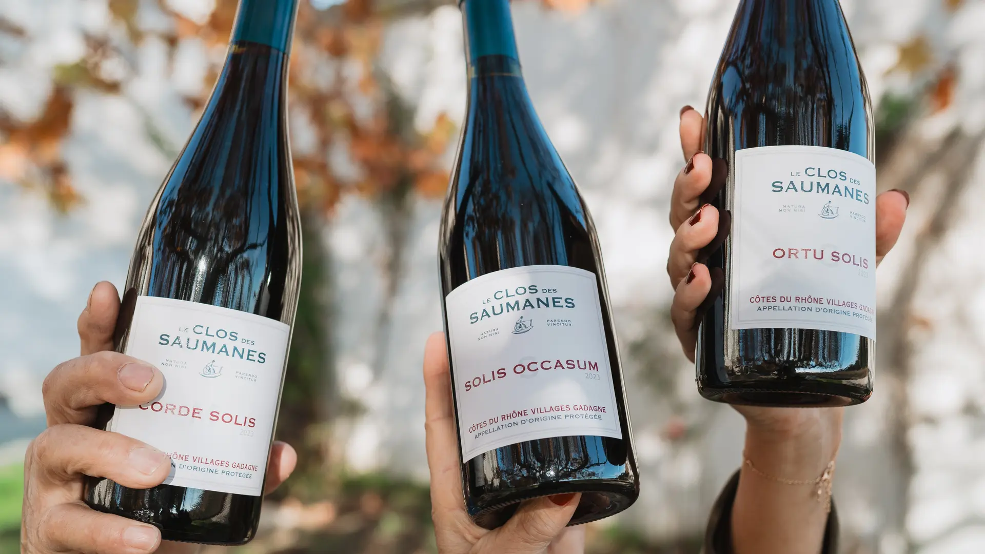 Présentation de trois bouteilles de vin du domaine des clos des saumanes