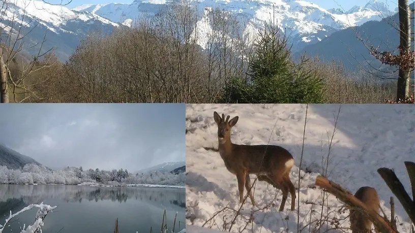 Le Buet, le lac Cristal à 500 m et des visiteurs  près du pommier, vus du gîte
