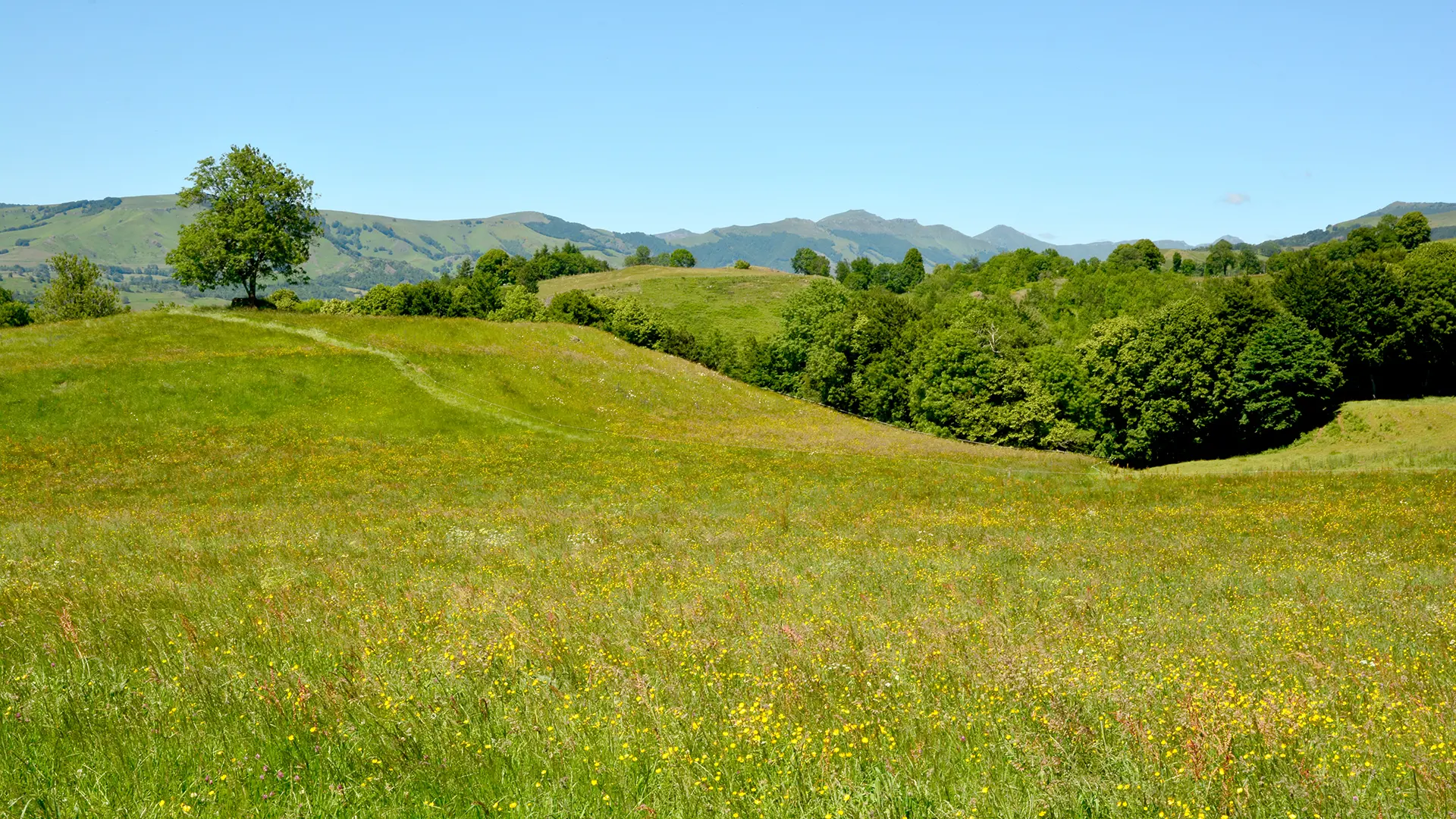 Vue sur les Monts du Cantal