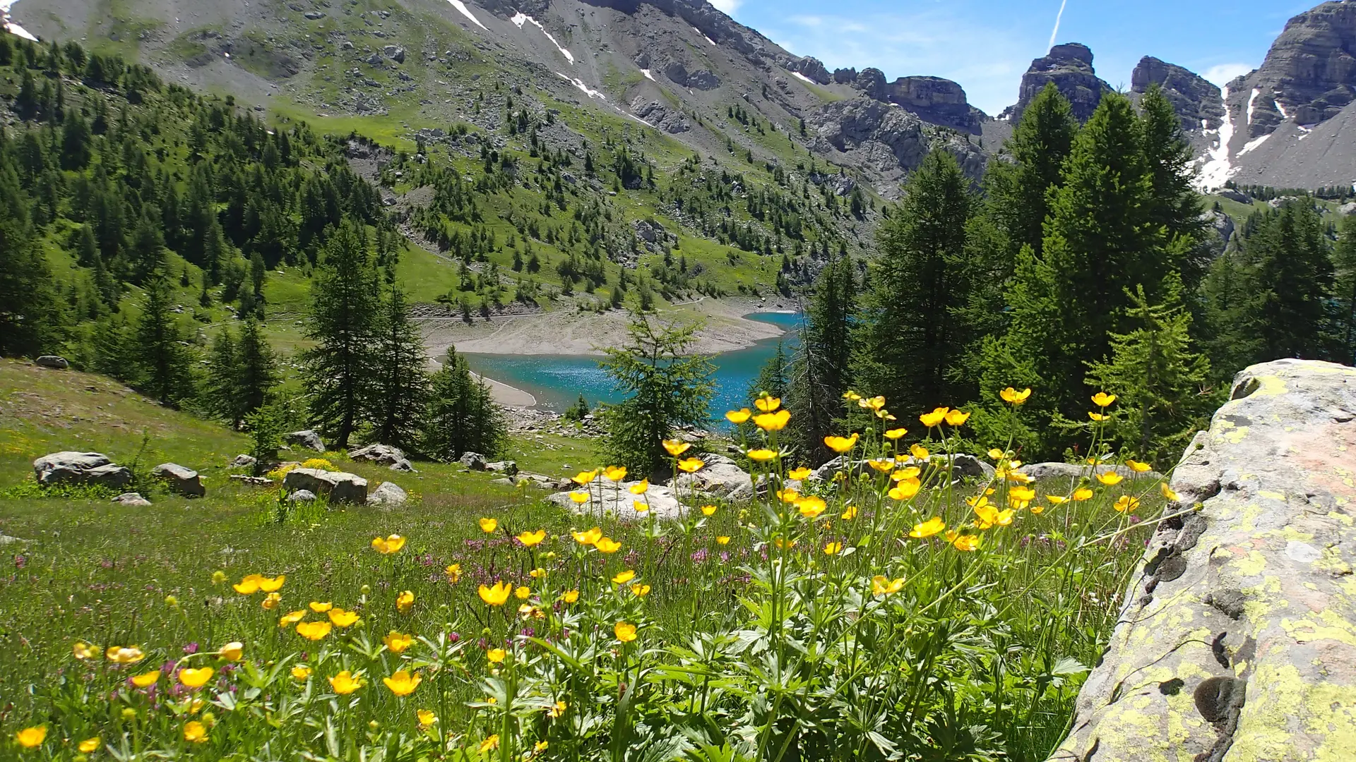 Alpages lac d'Allos
