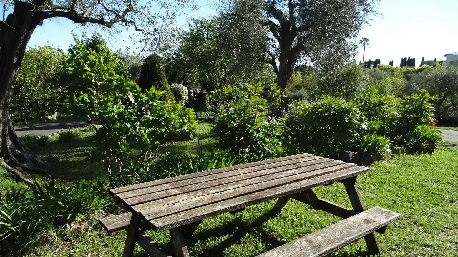 Gîte Villa les Seringas - Espace extérieurs - Gîtes de France Alpes-Maritimes