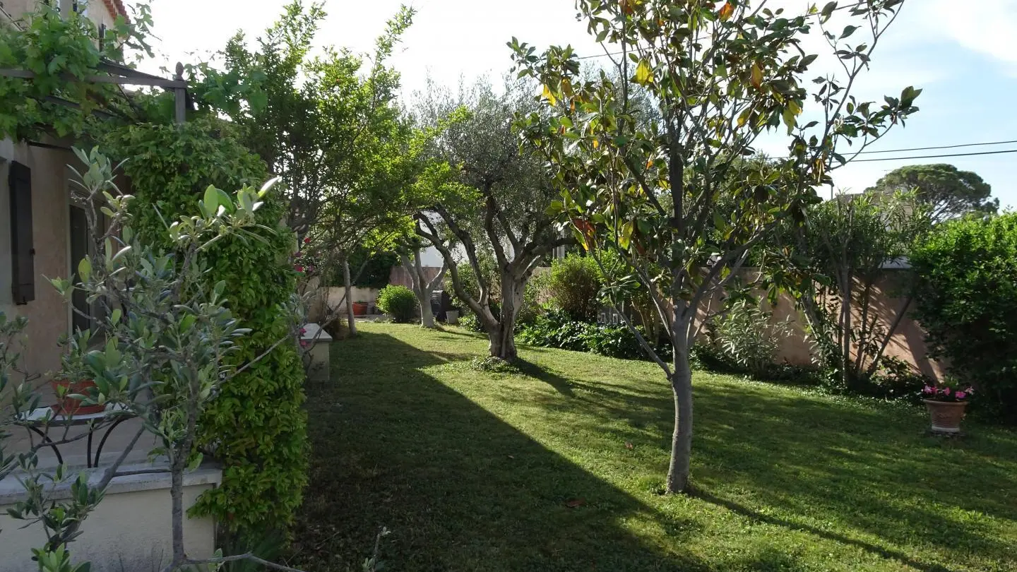 Jardin