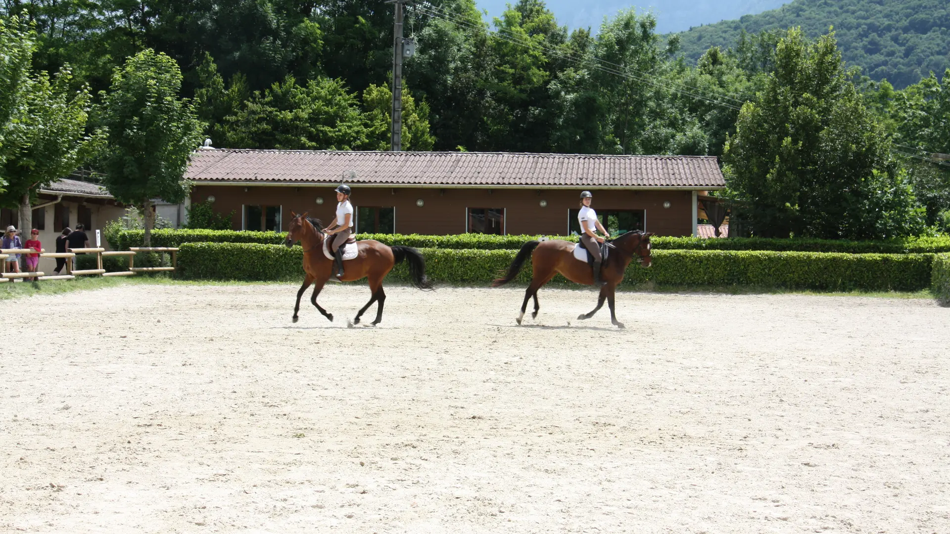 Equitation aux Ecuries de Crossey