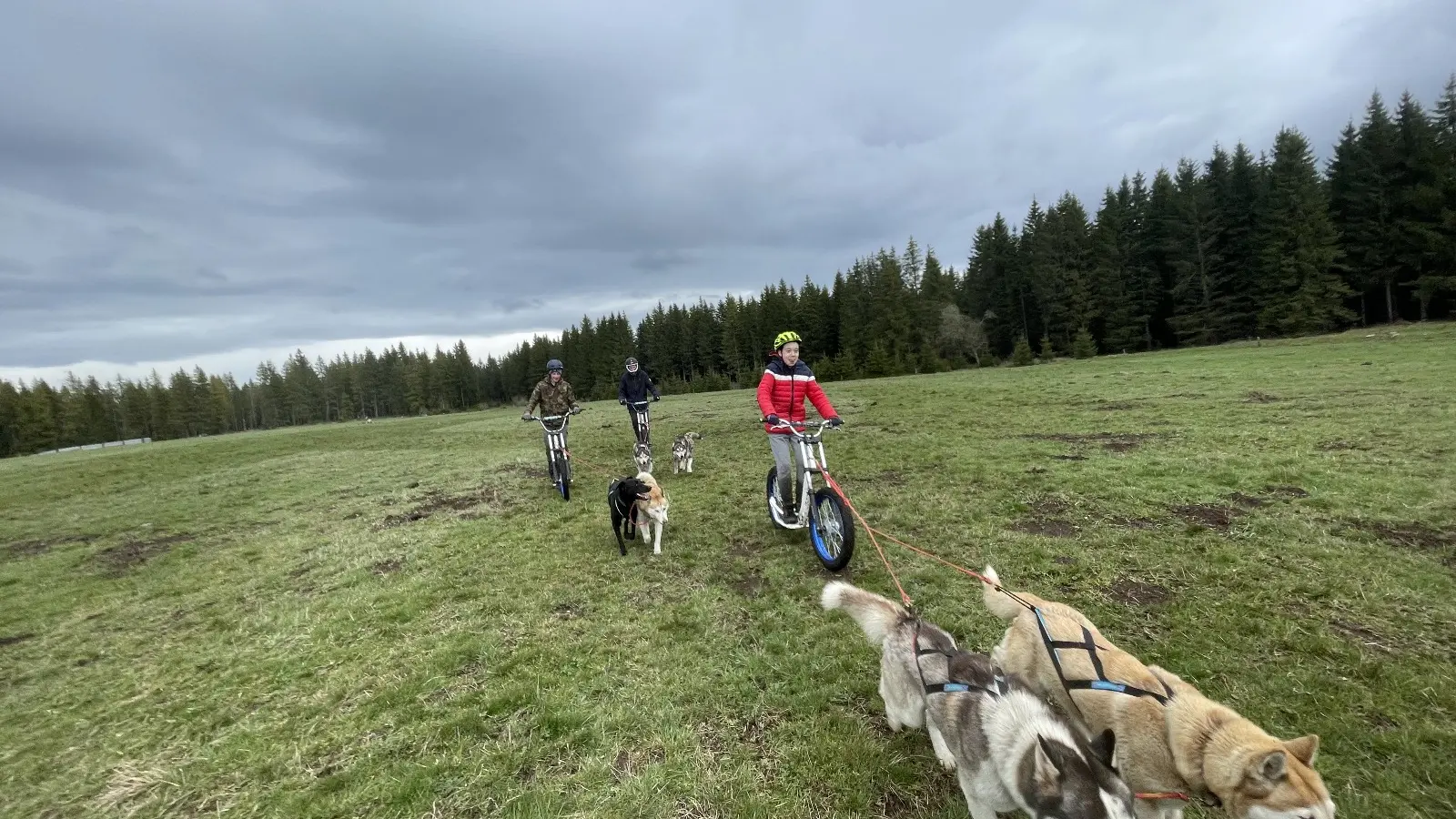 Dog Scooter - Evolution 2_Chamonix-Mont-Blanc