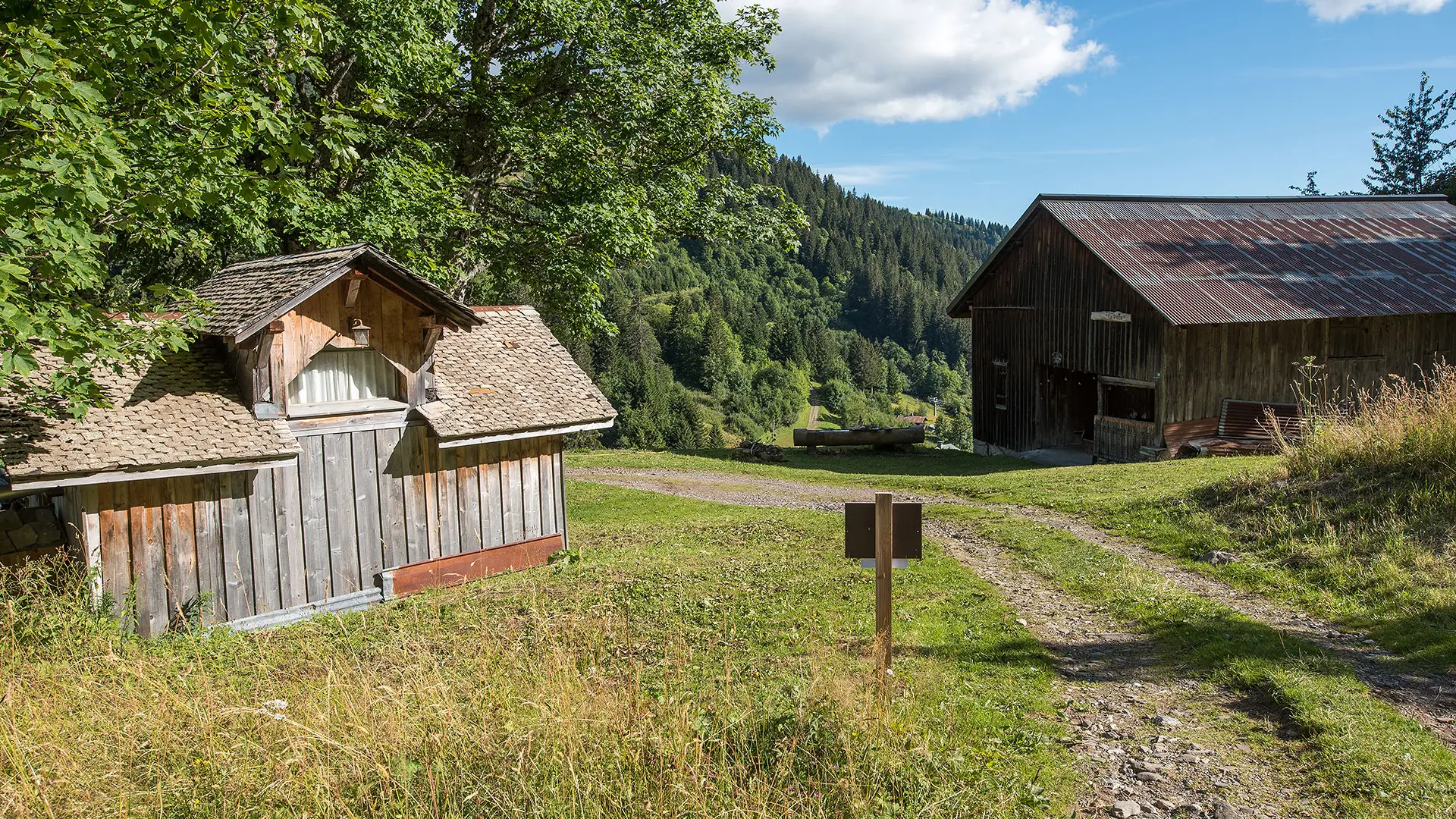 Chemin de la Marée dessus après le Col de l'Encrenaz