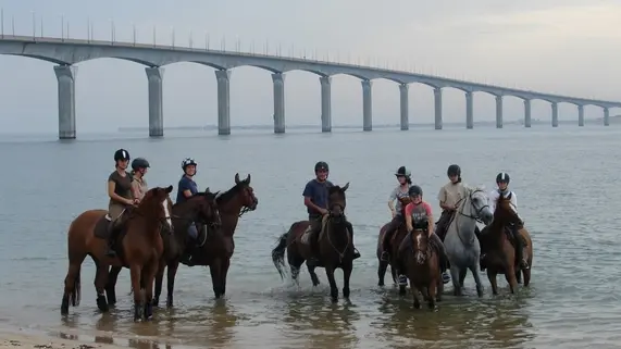 Balade sur la plage