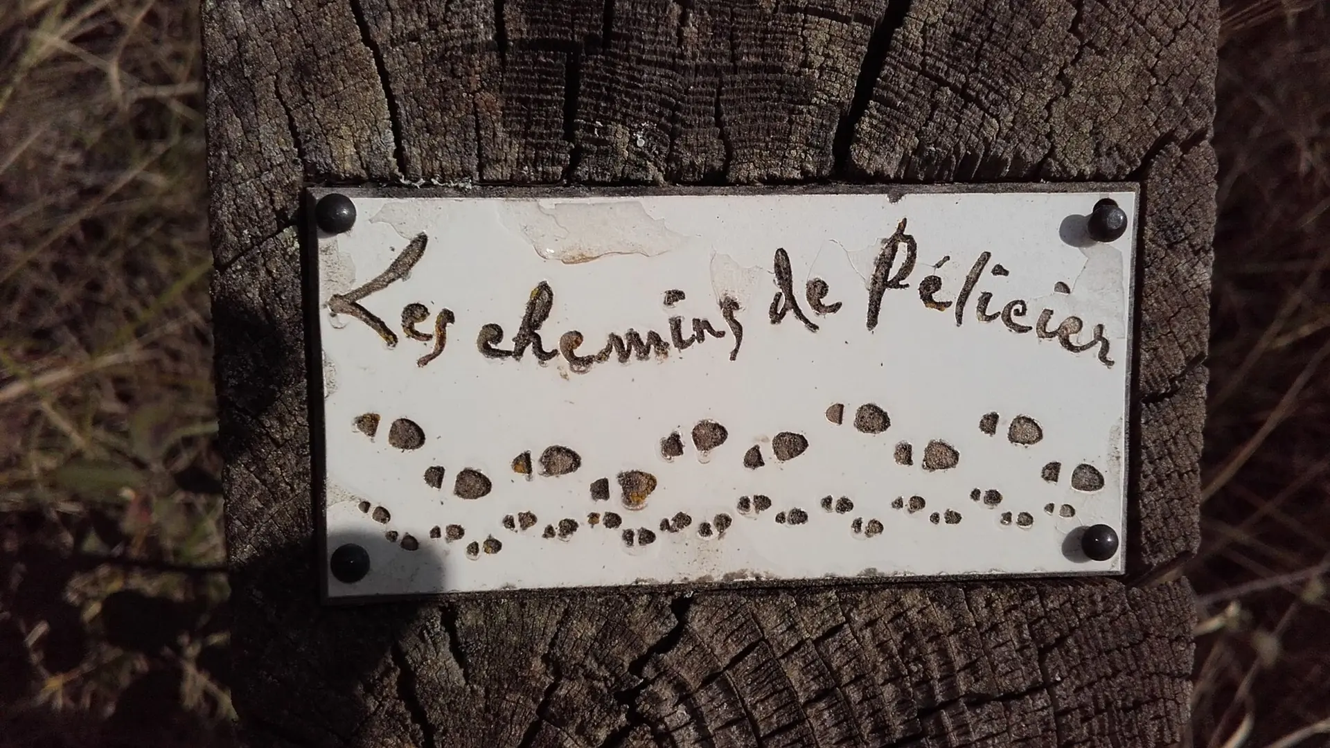 Signalétique dédiée