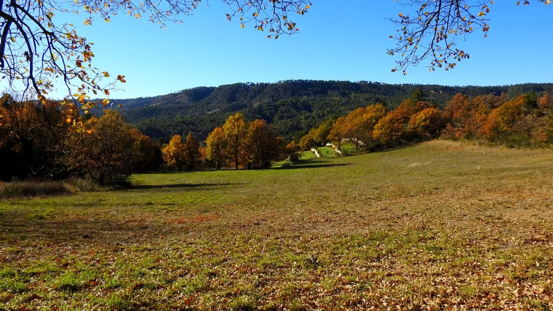 Vue sur les restanques