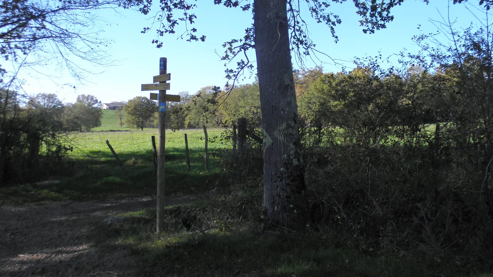 Point 5 : monter à droite