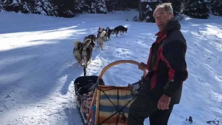 Chiens de Traineaux