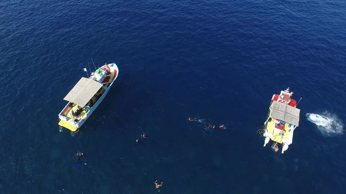 Nos bateaux au mouillage dans la rade