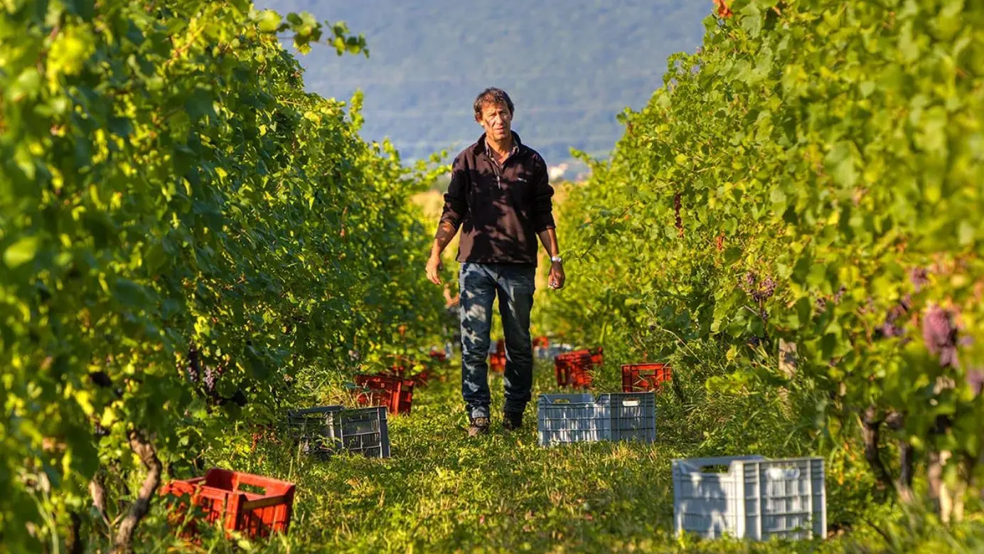 Domaine de Mucelle