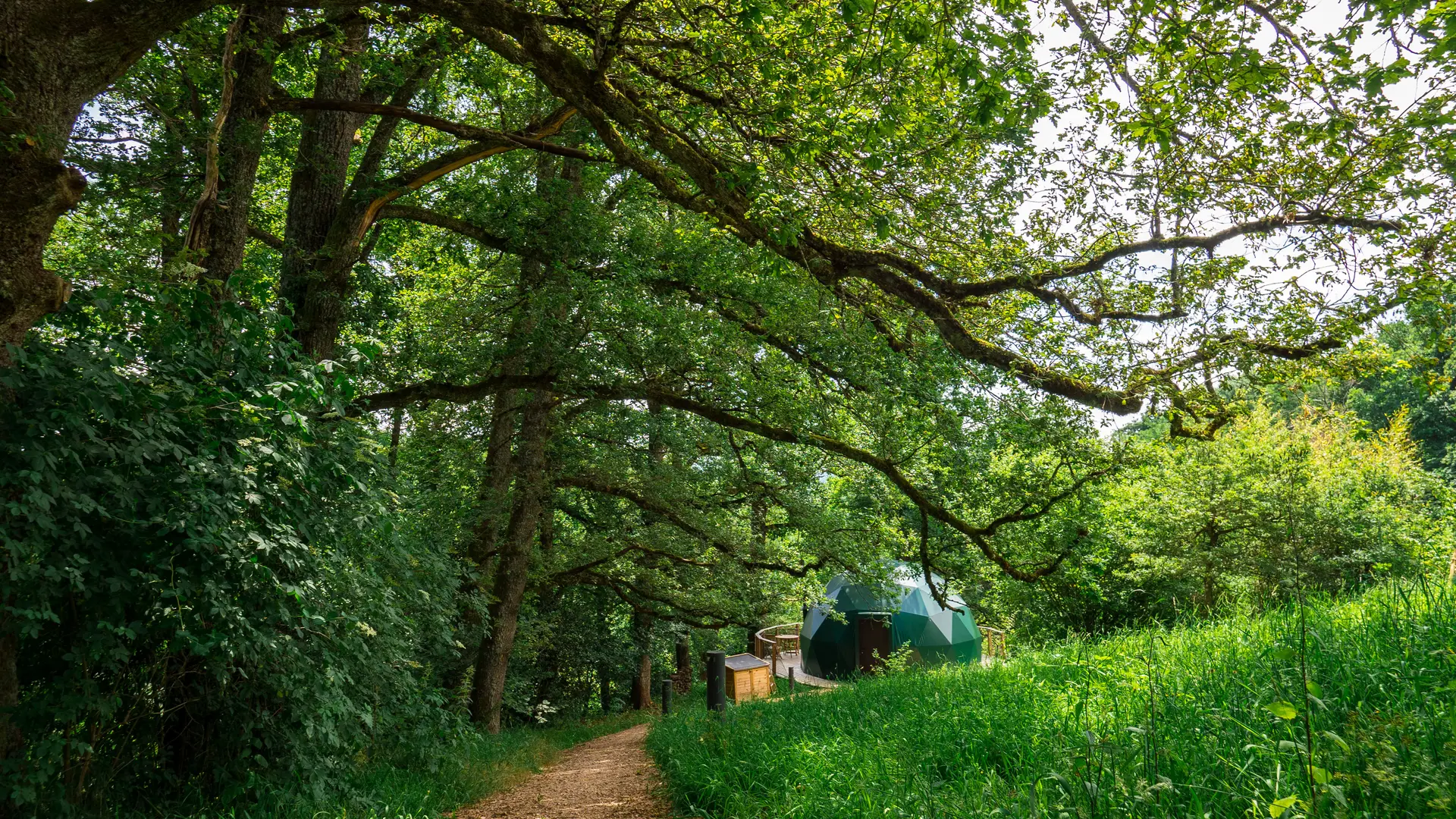 Chemin d'accès