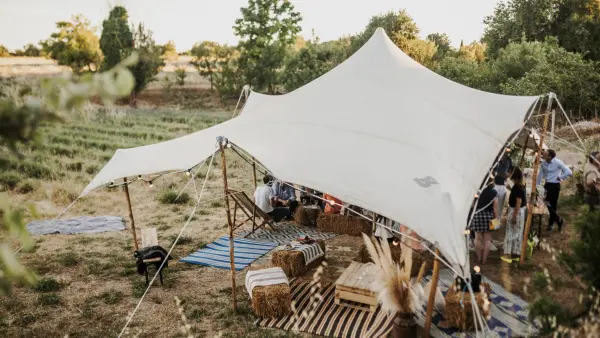 Visit Lavender field in Aix en Provence