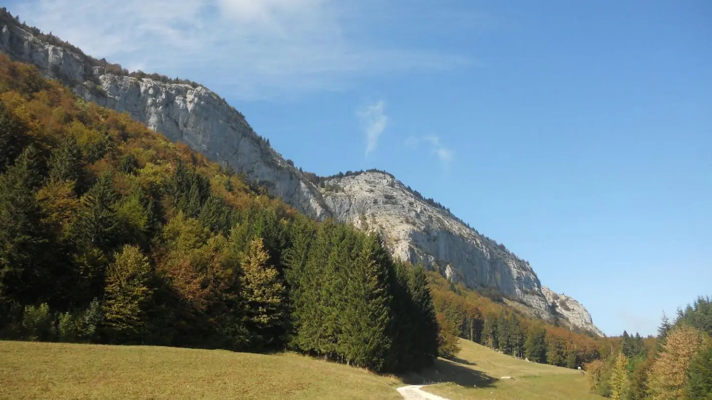 Chemin de randonnée