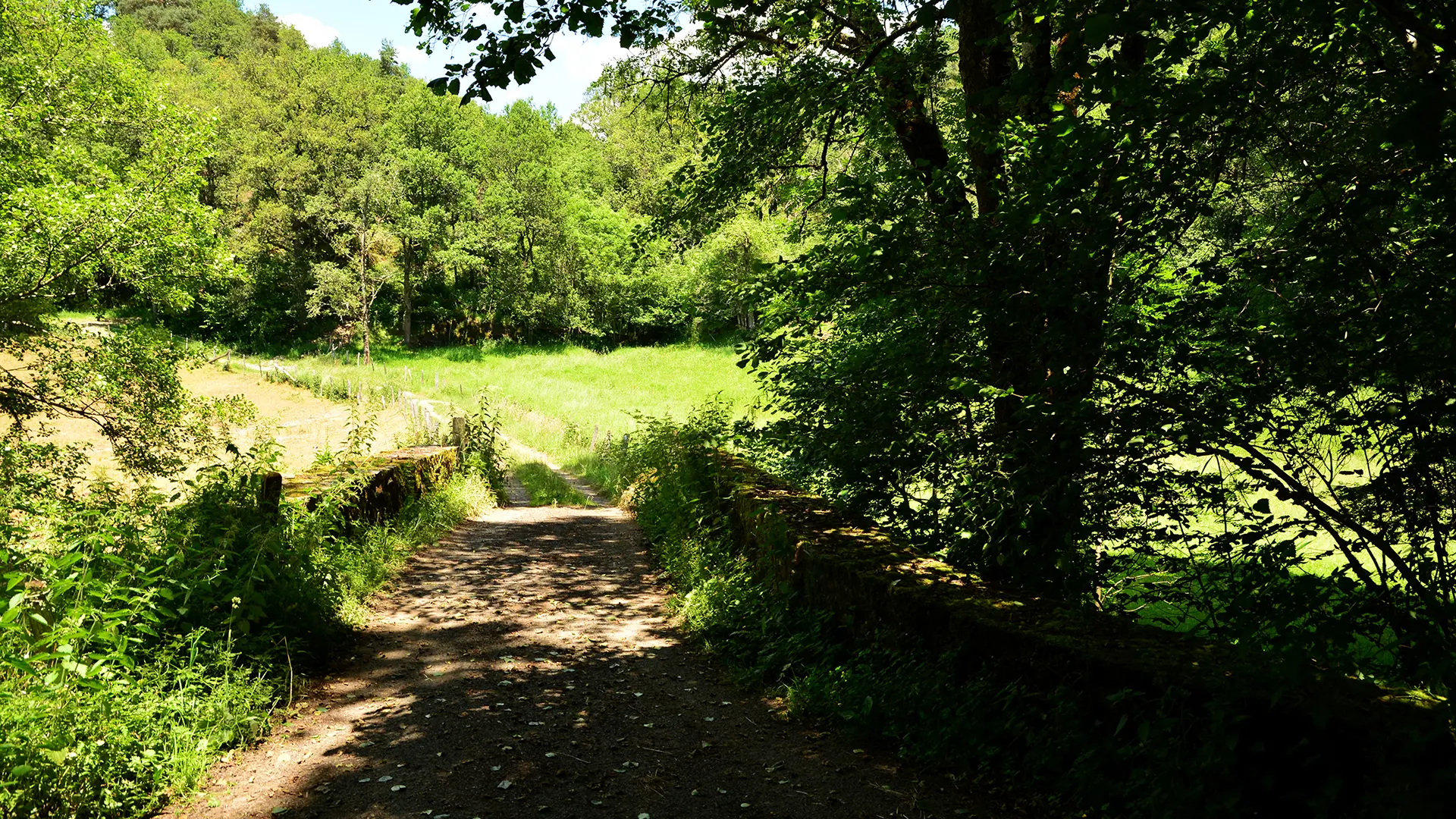 Chemin