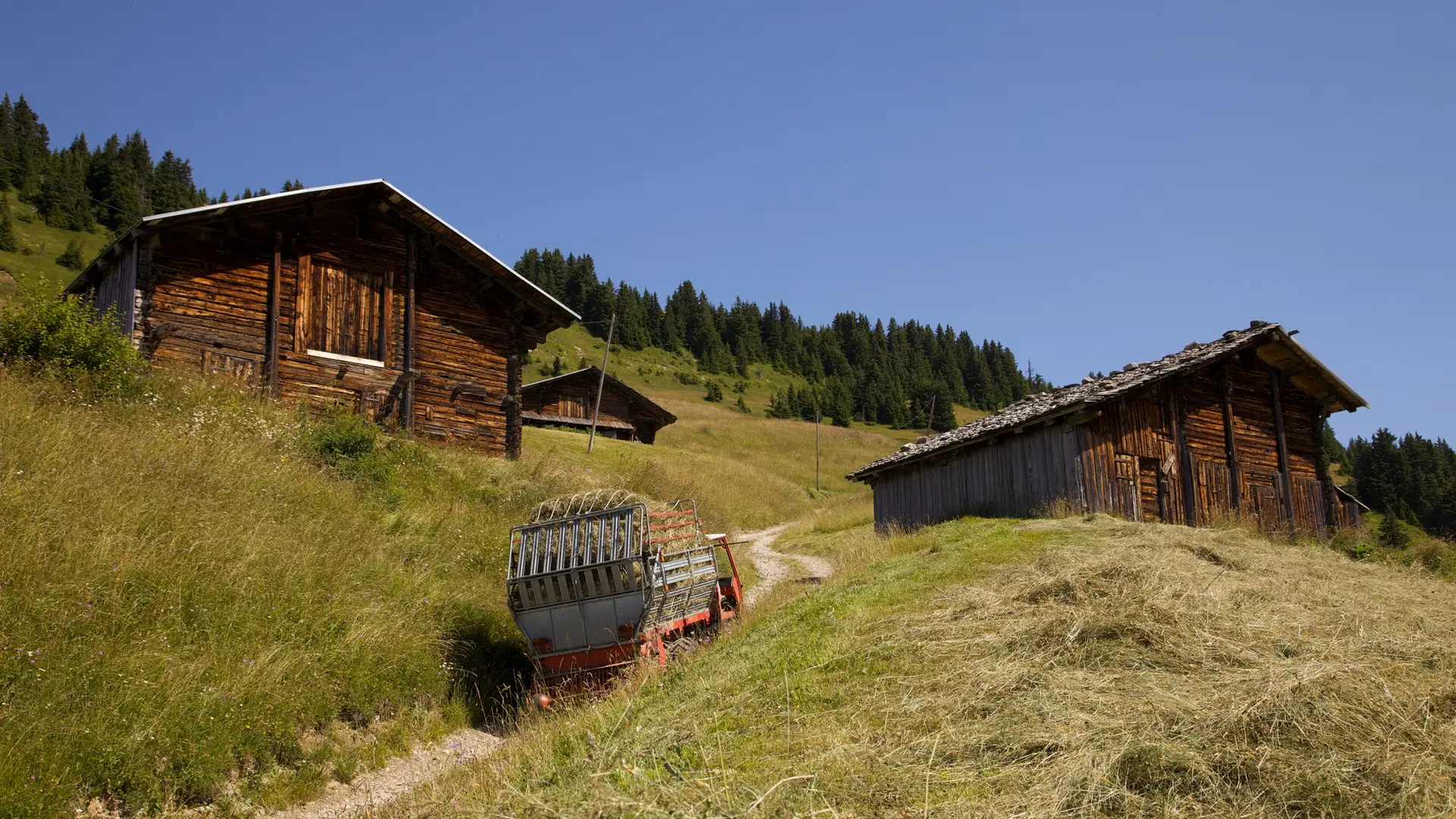 Le hameau des Pachons