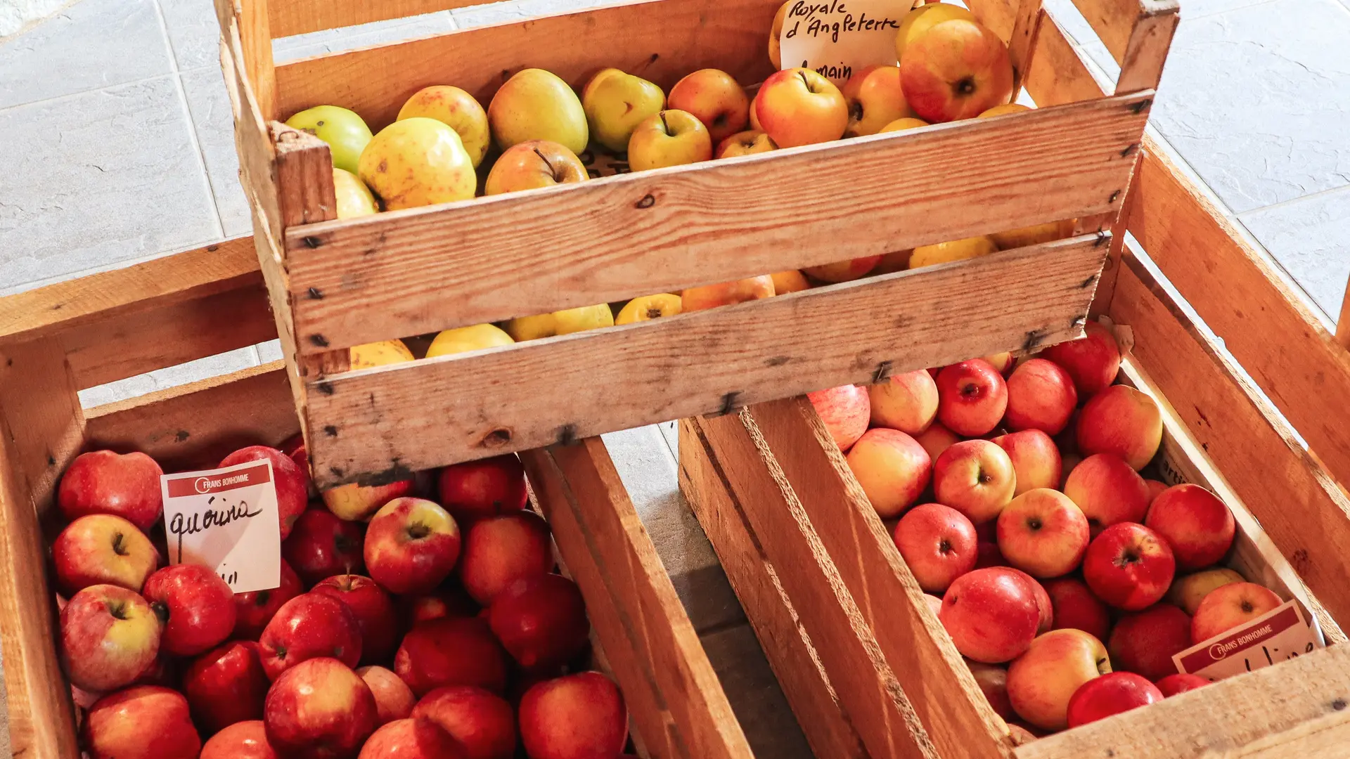 Cagettes de pommes