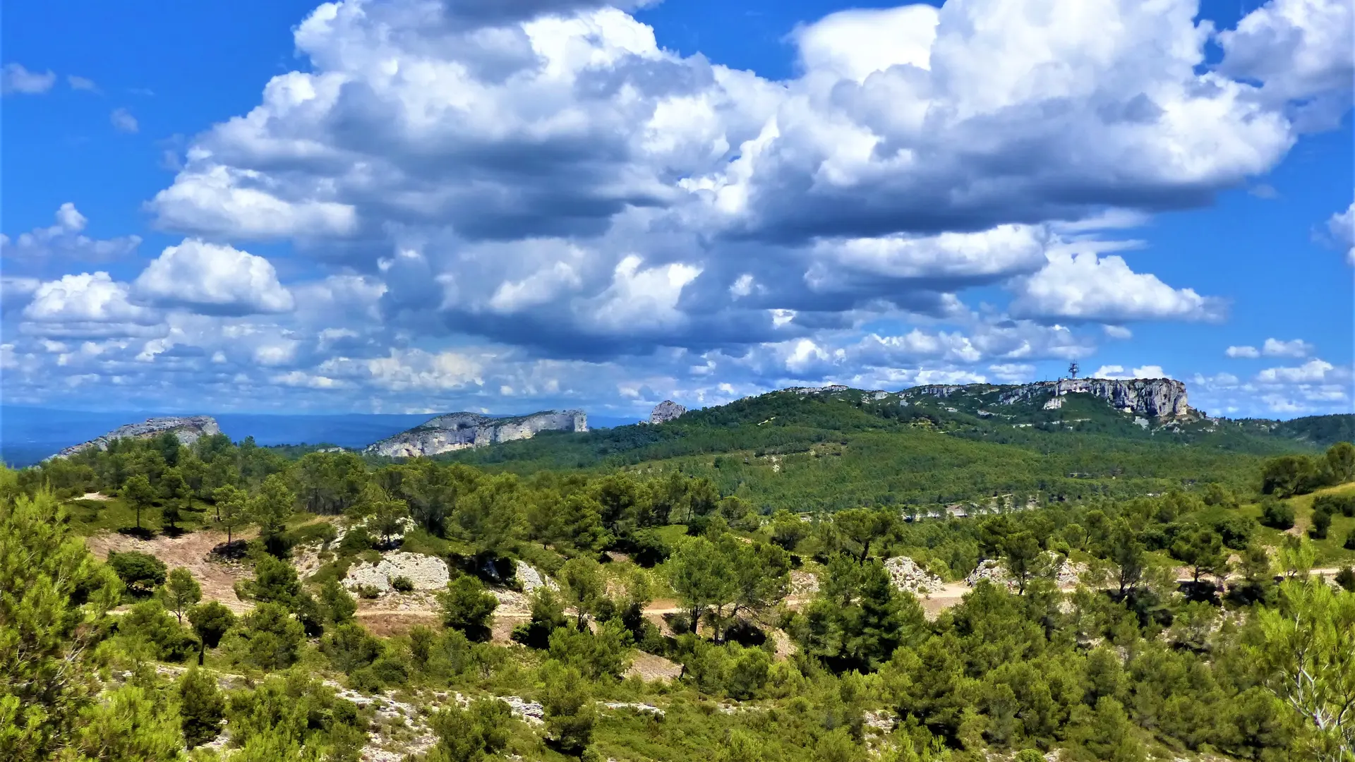 Le plateau de la Caume_Saint-Rémy-de-Provence