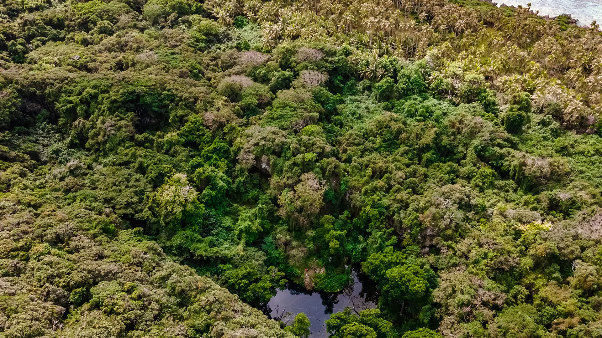 View from the sky