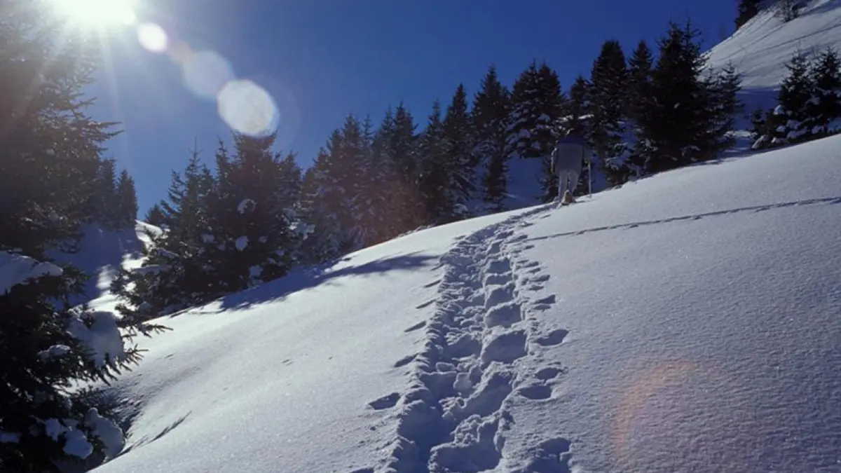 Randonnée raquettes Glappaz