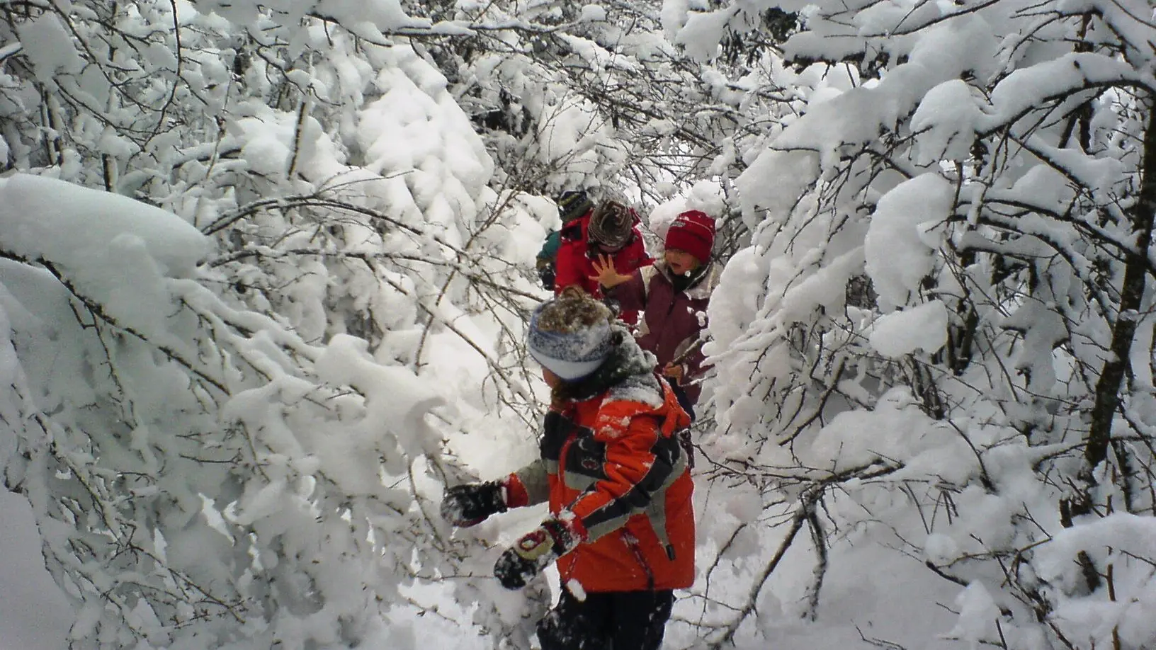 club ptits montagnards corrençon