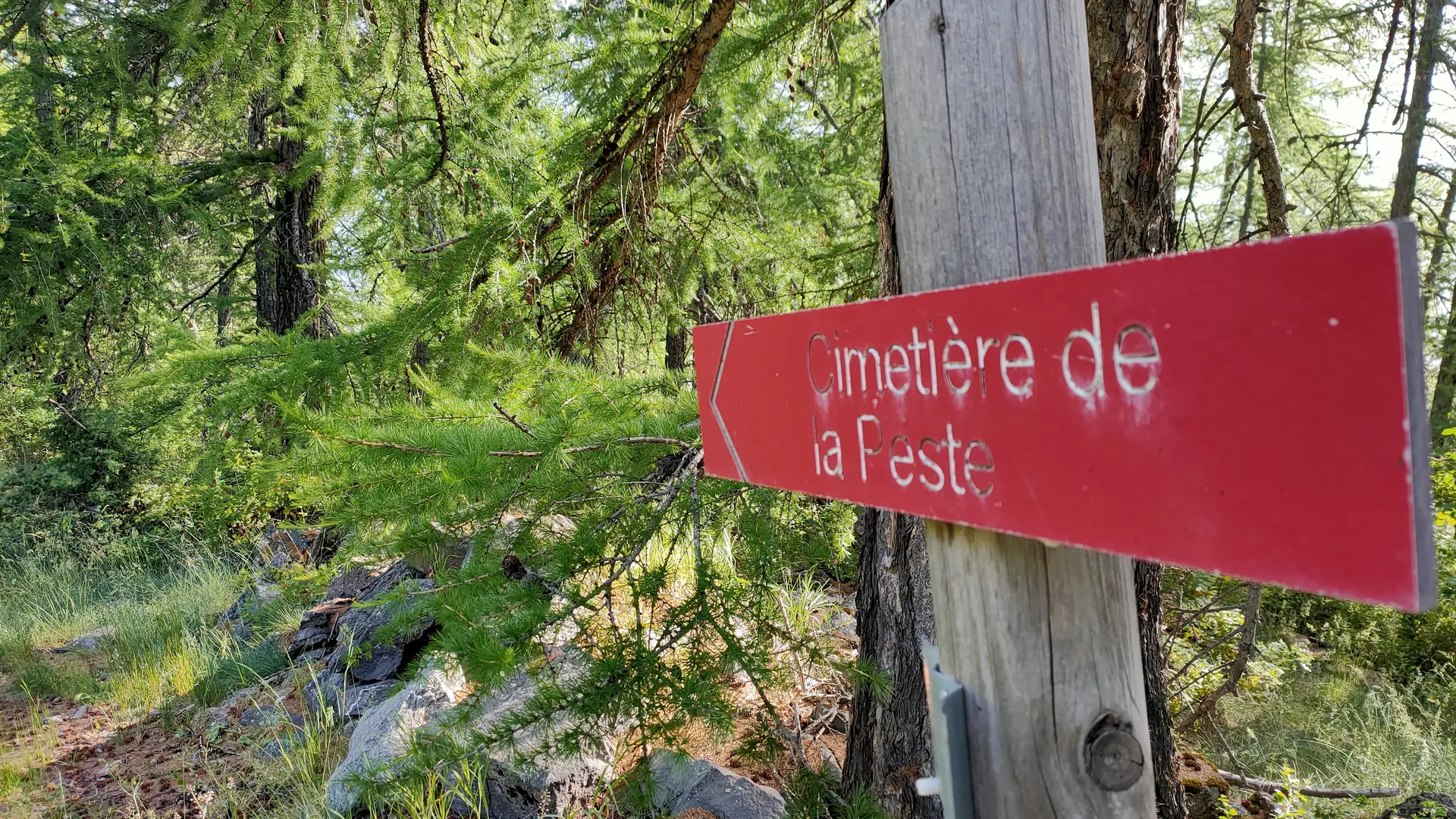 Un sentier à travers la forêt permet d'accéder jusqu'au cimetière de Lariey