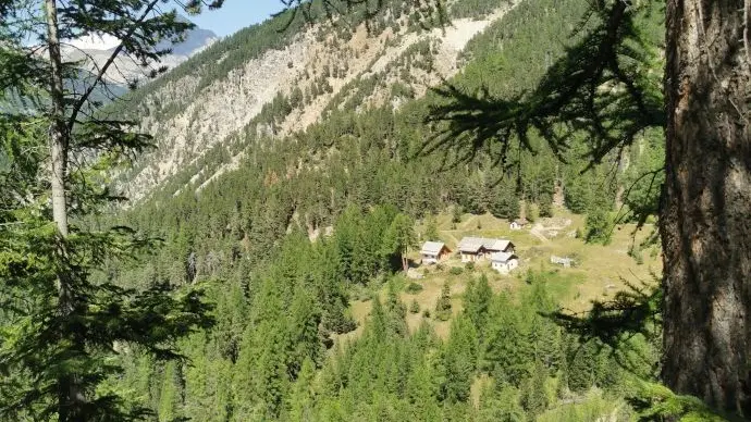 Chalets du Vallon - Val-des-Prés