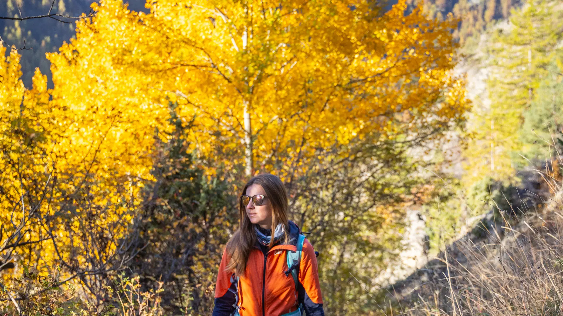 Col du vallon_Névache
