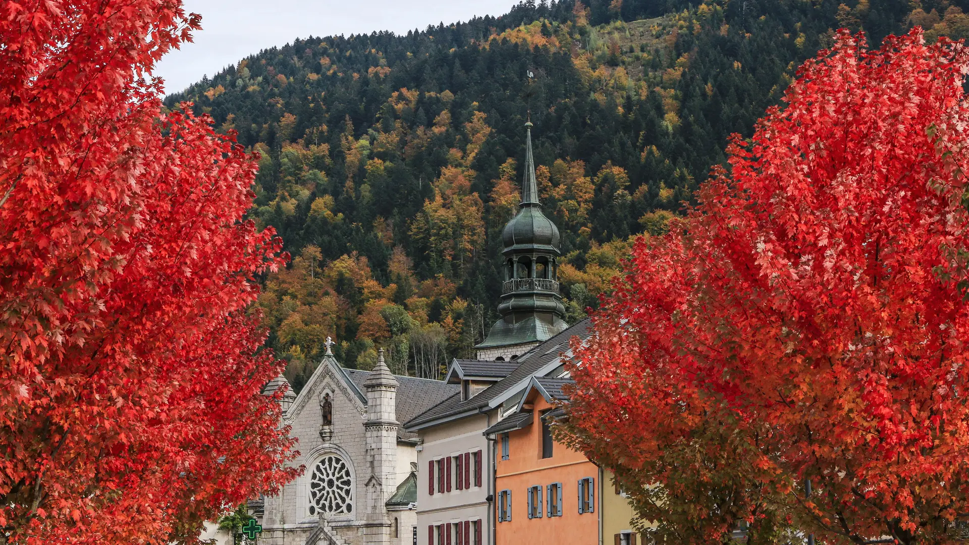 Centre ville de Thônes, arbre rouges à Thônes
