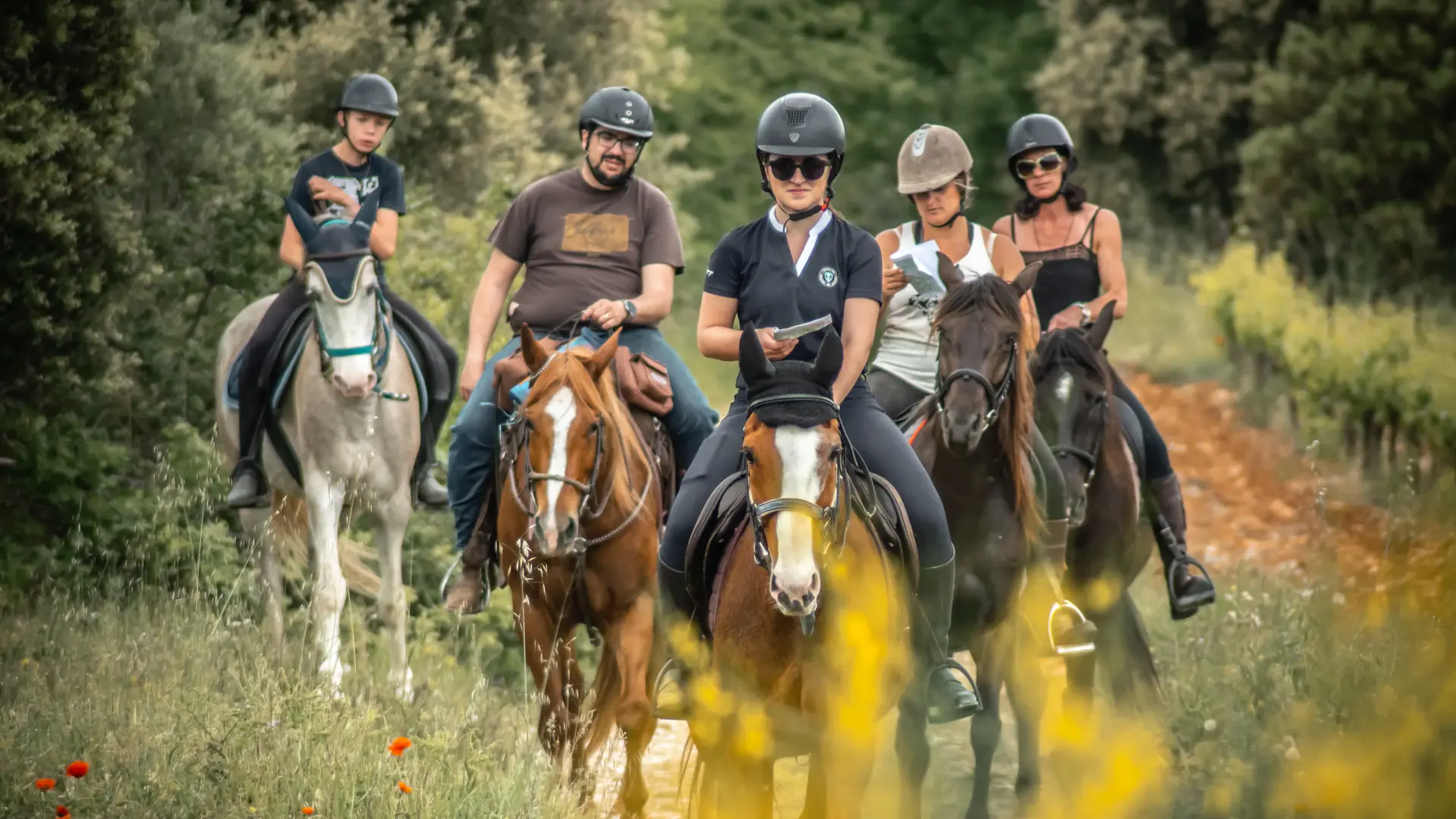 Balade à cheval en groupe dans la nature provençale.