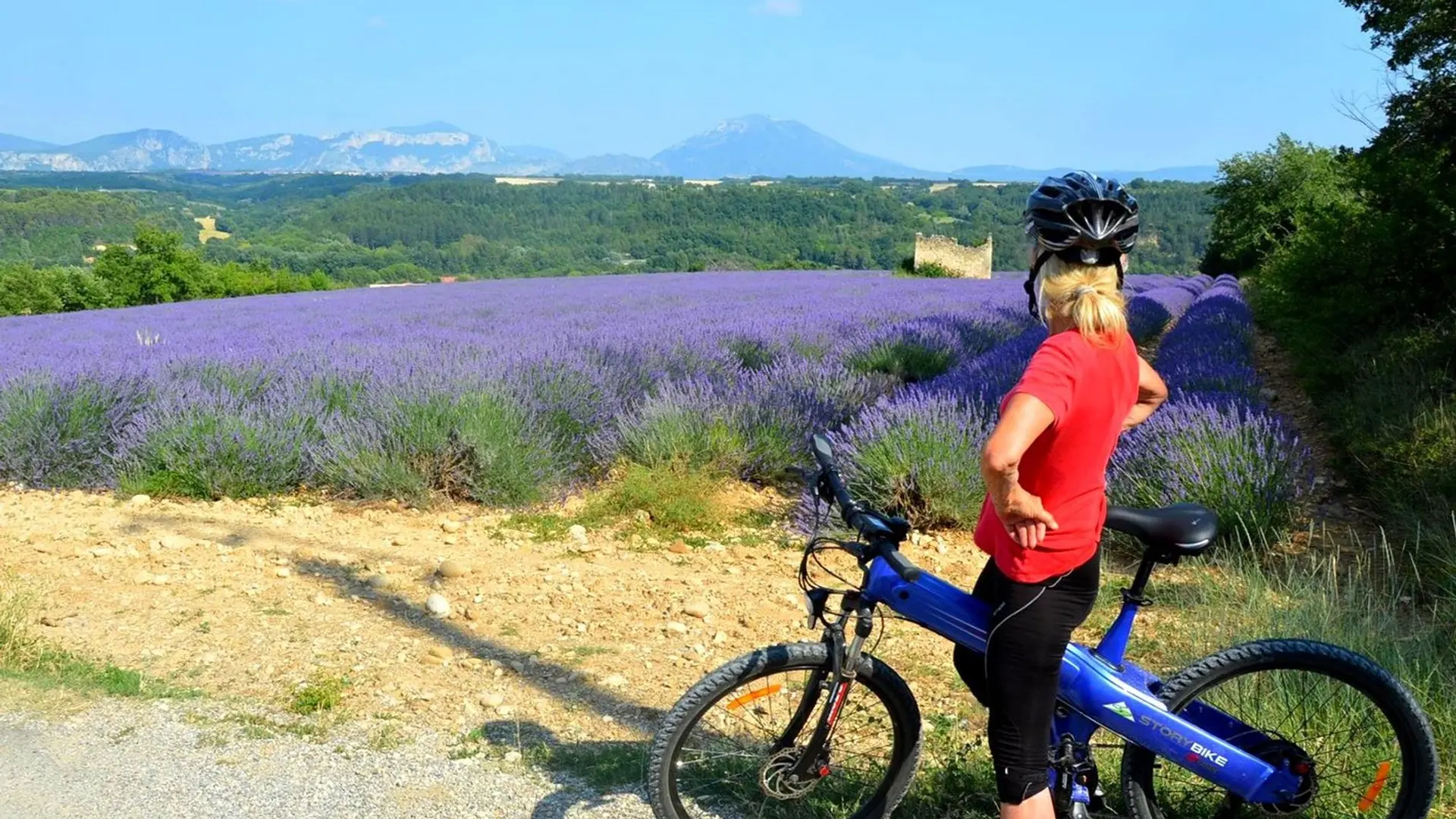 Au milieu des lavandes ....le cabanon