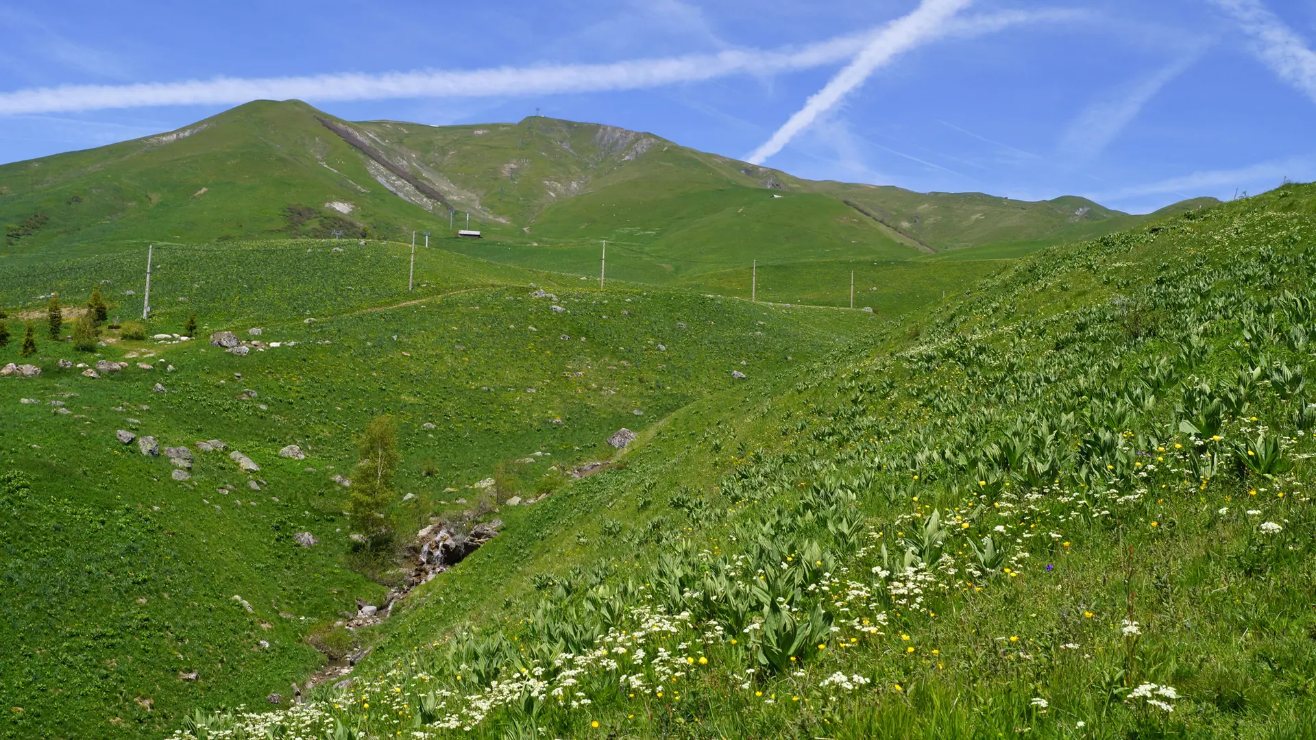 Champ pérouse
