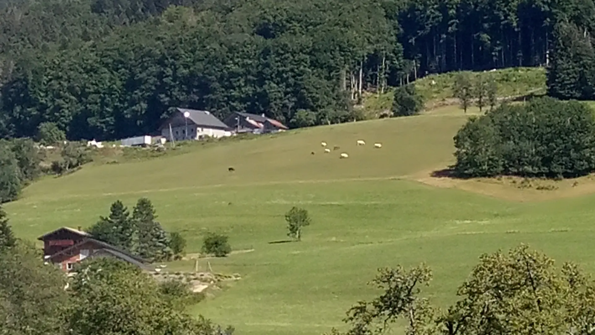 Brioche et Baldaquin