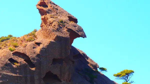 kayak encadrée journée - La Ciotat