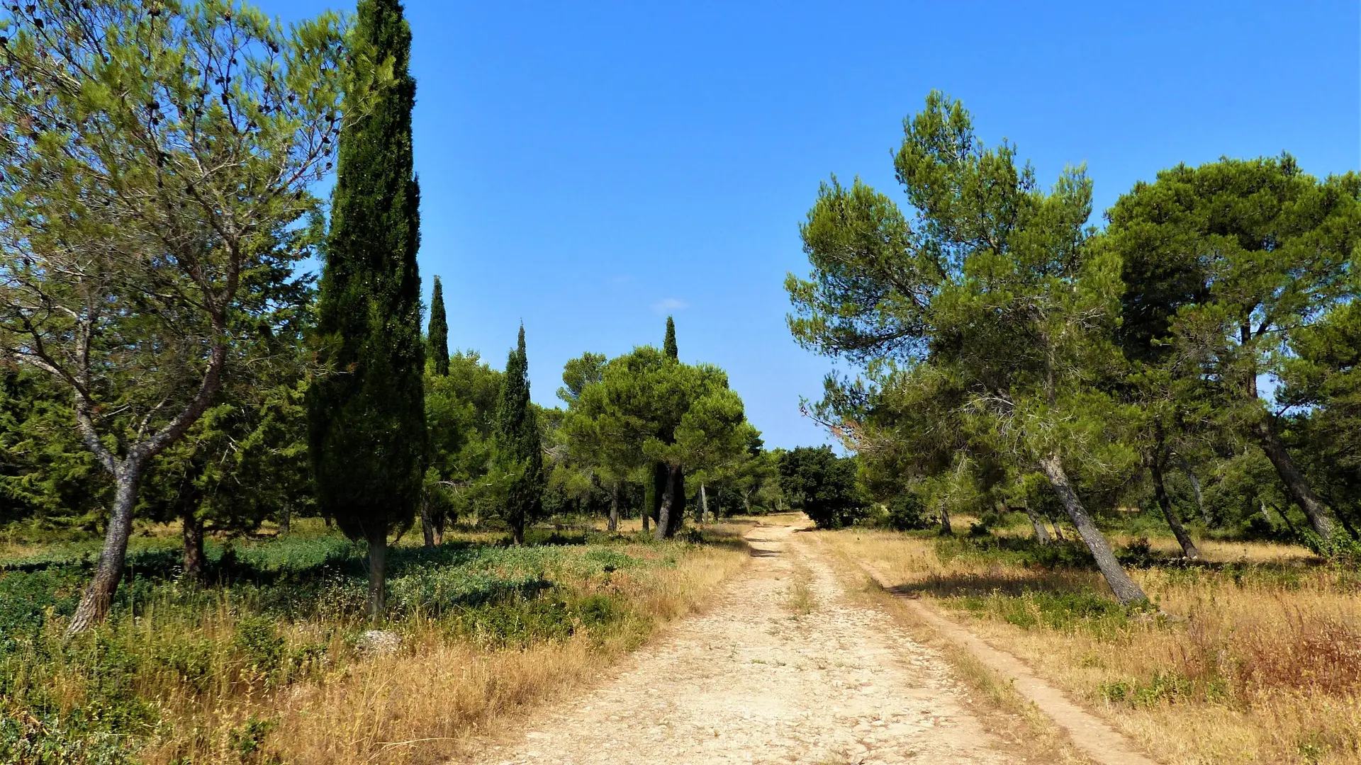 Piste DFCI du Planet