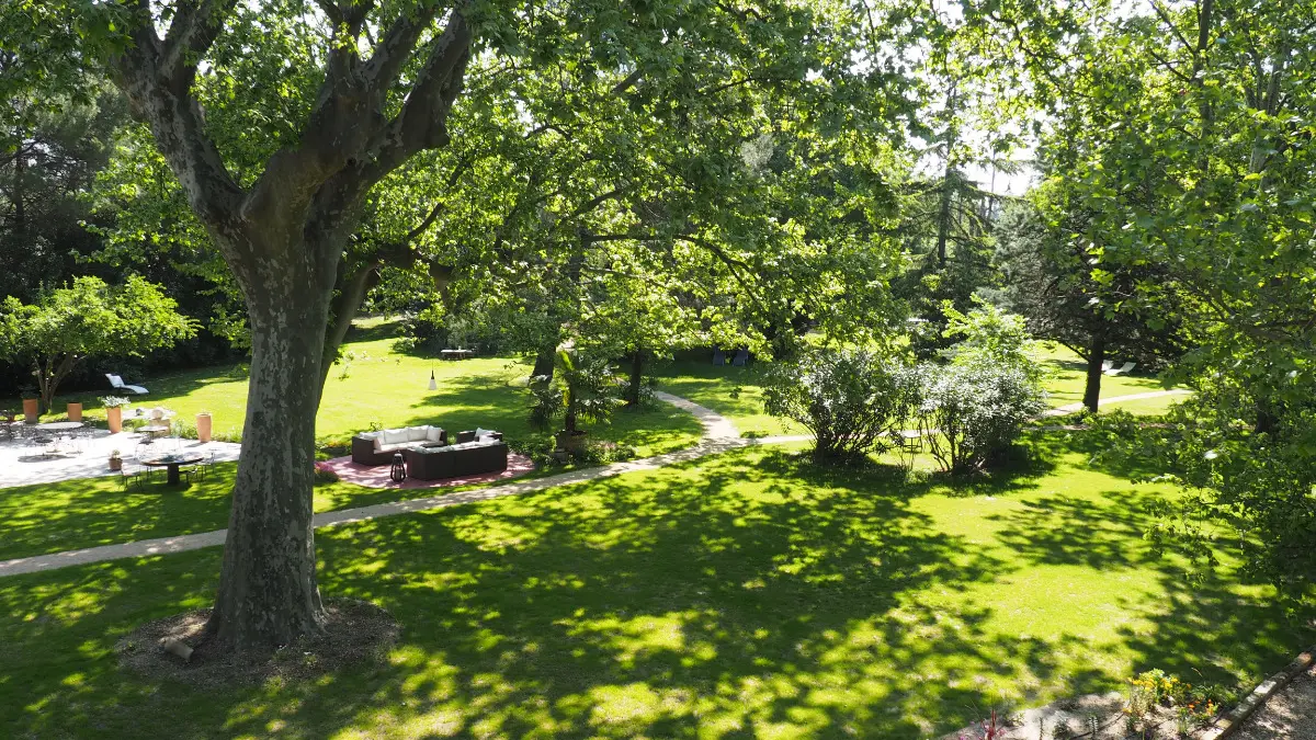 Vue sur le parc depuis la terrasse de l'appartement