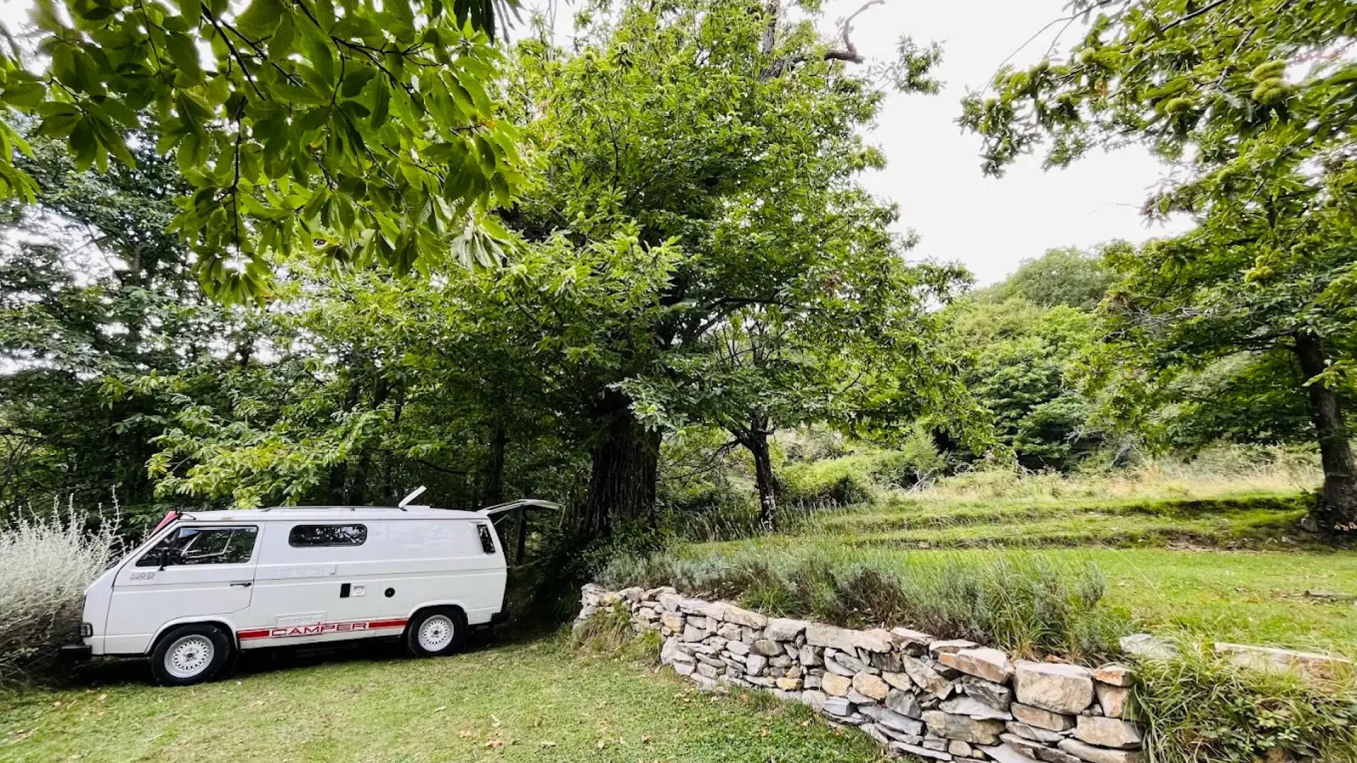 camping