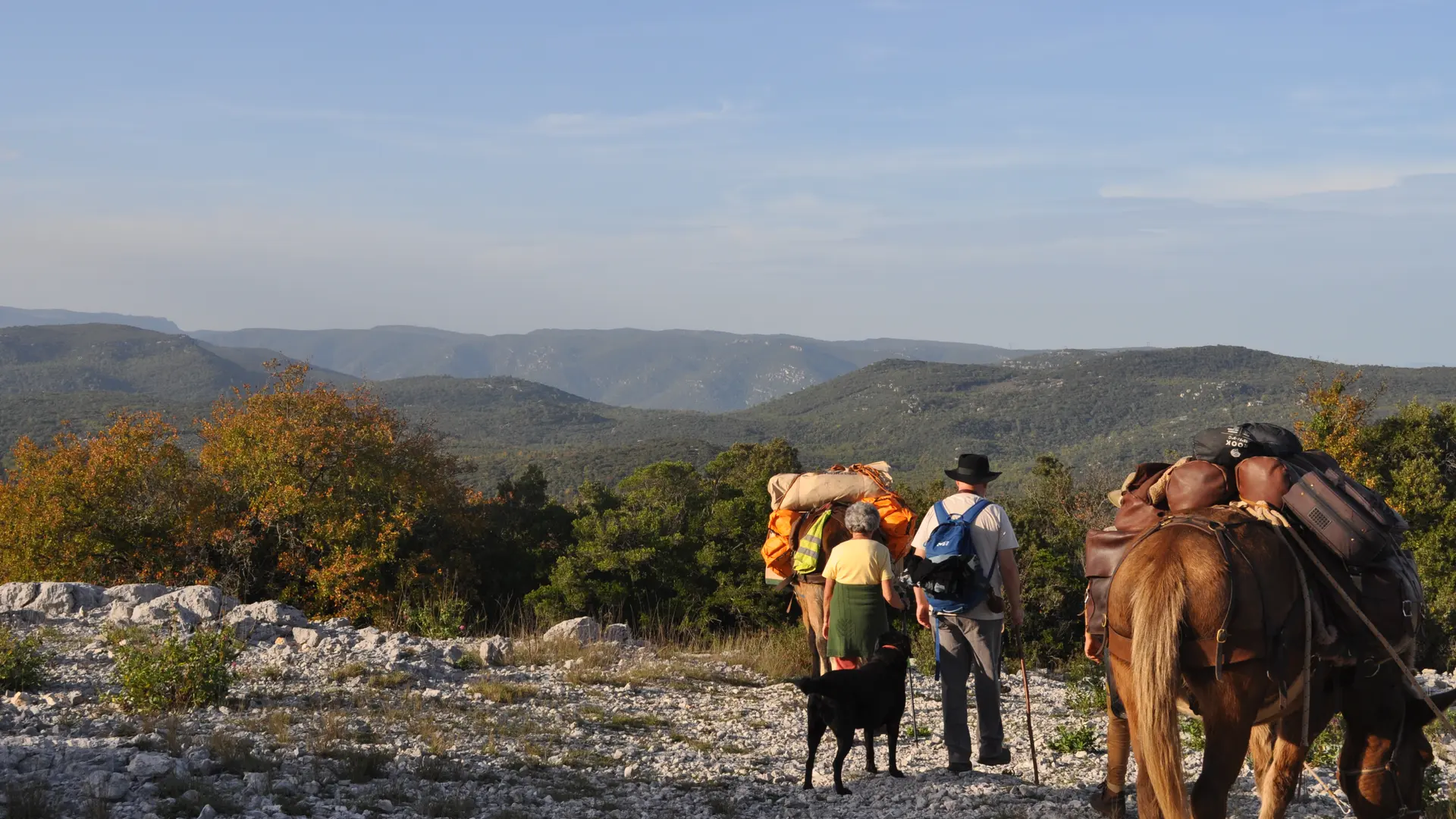 Balades et randonnées avec les muletiers Bigatier