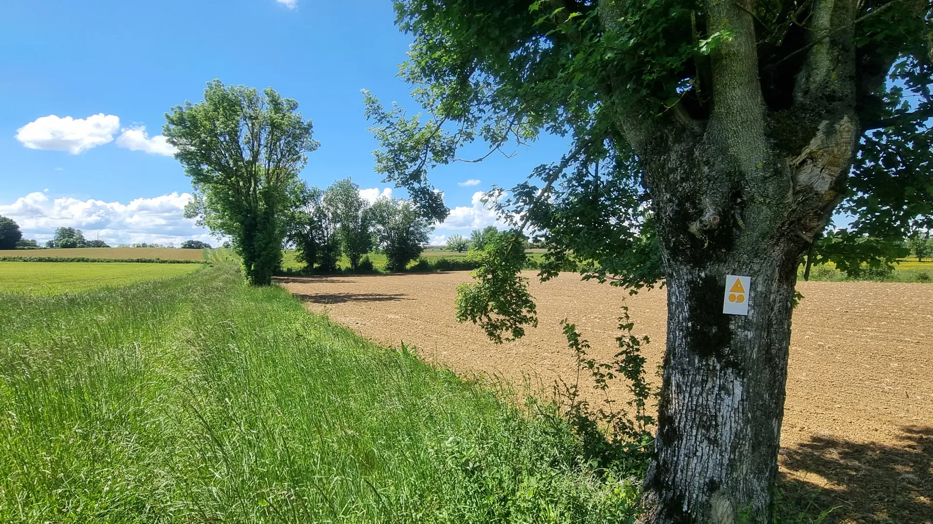 Circuit VTT-VTC n°26 (noir)_Tour de St Didier d'Aussiat