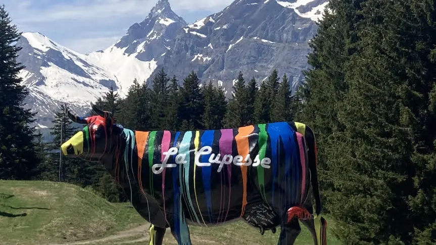 vache été