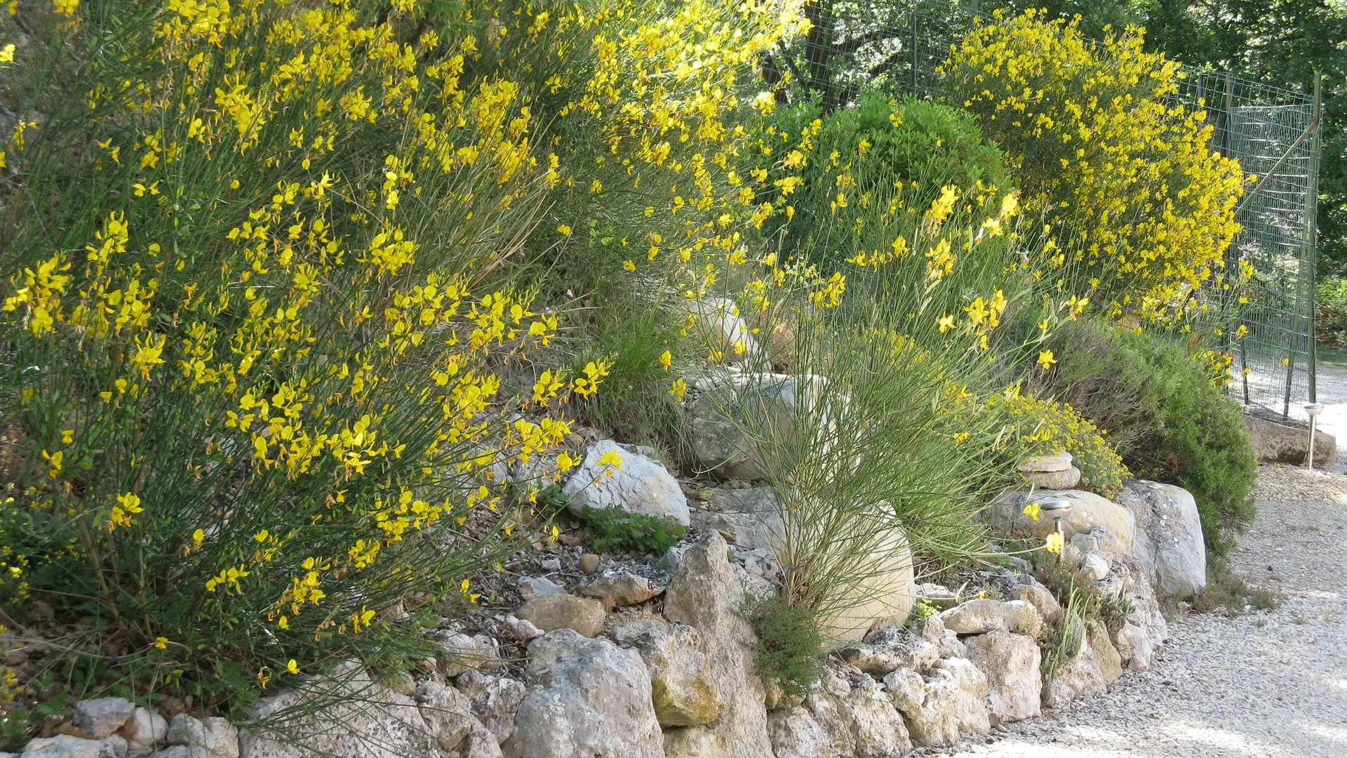 Mme Saey - luberon cote sud, meublé de tourisme; classé; villelaure