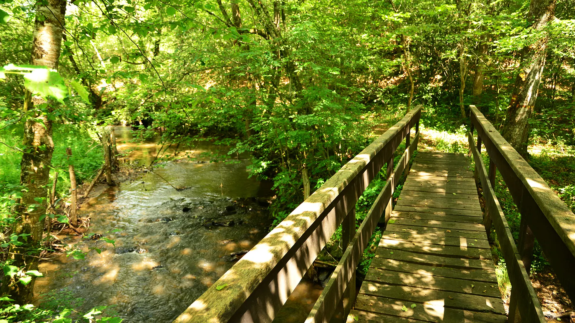 Pont